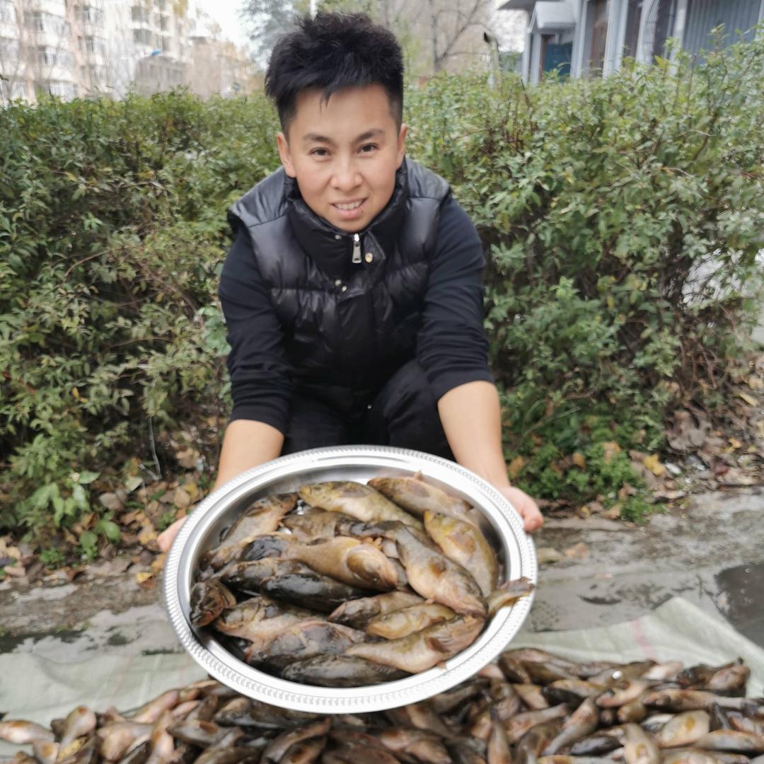 假小子野生江鱼