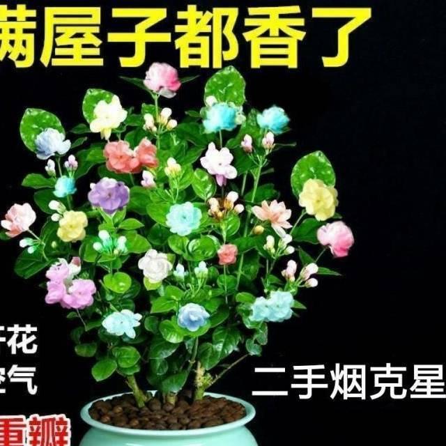 艳遇