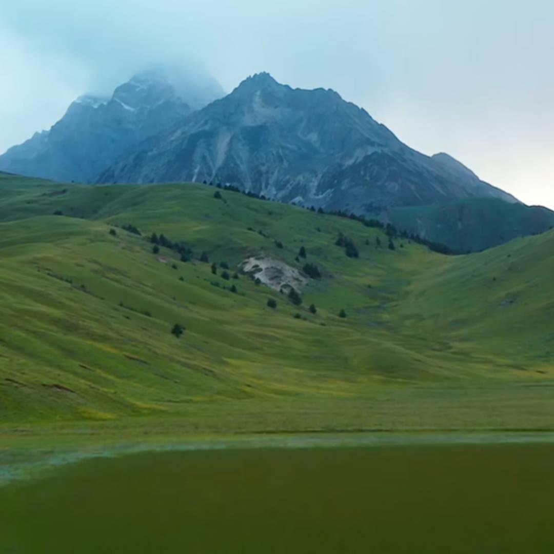 长发红妆等君归