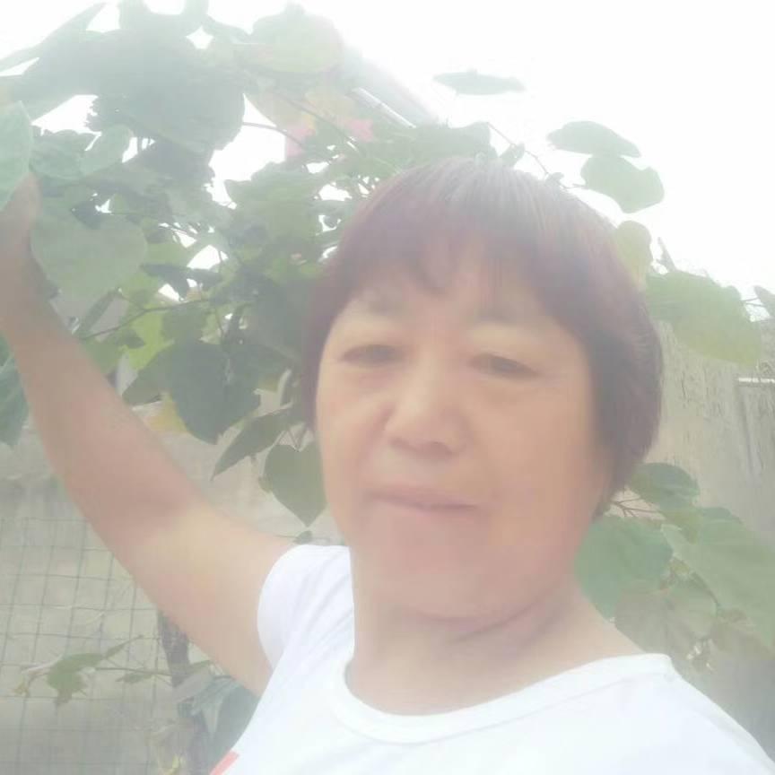 任三姐月来月好