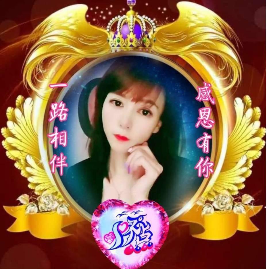 😽蝶恋🙀虎哥😽