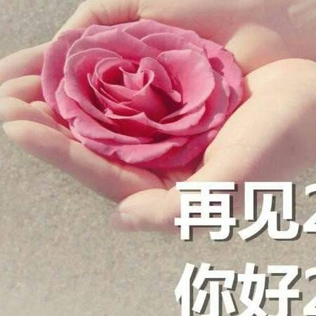 挪威森林521