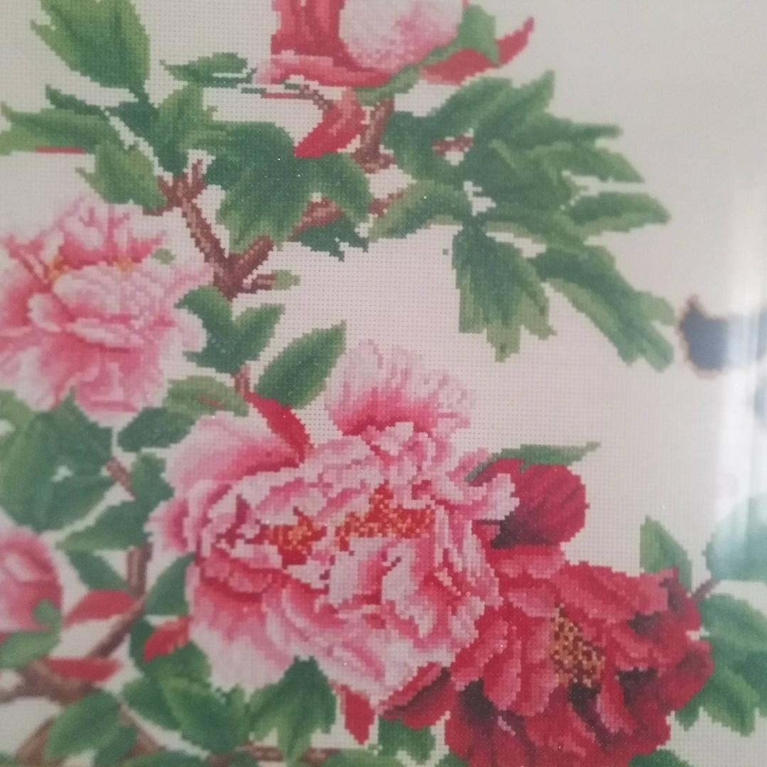浅陌32625