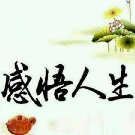 人生❤️感悟