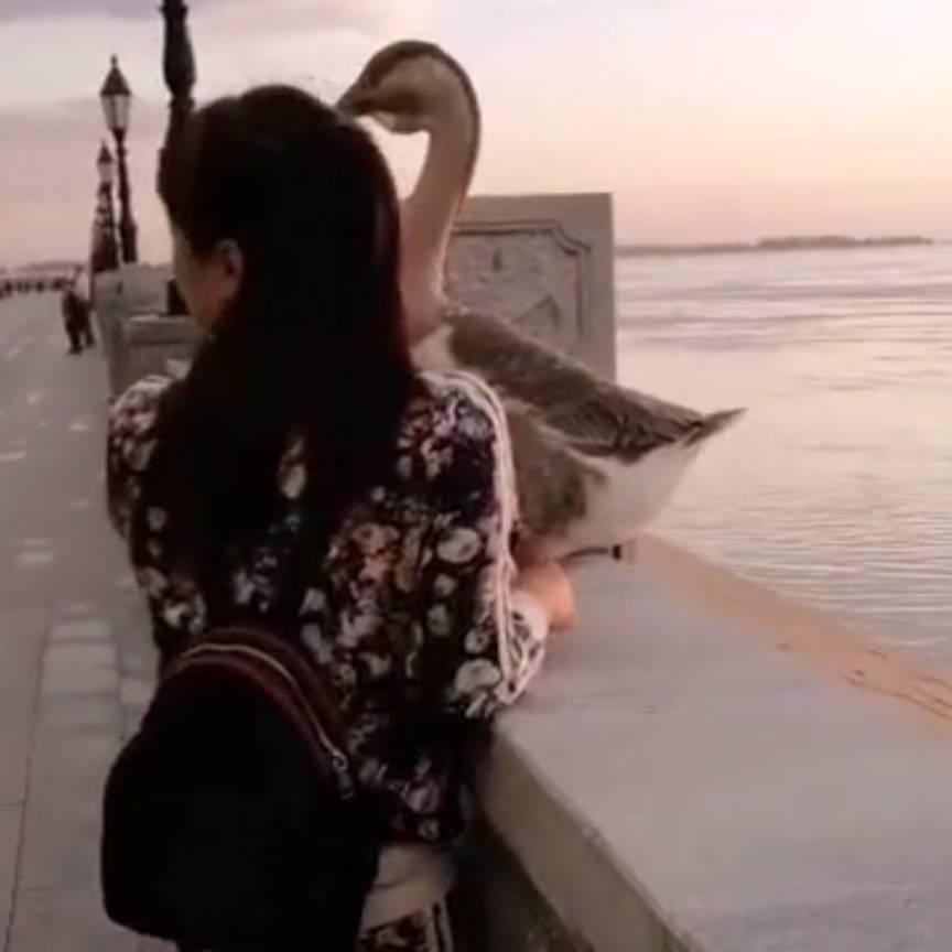 缘处安放