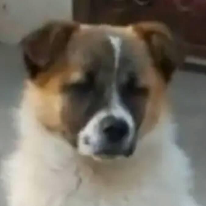 旺旺