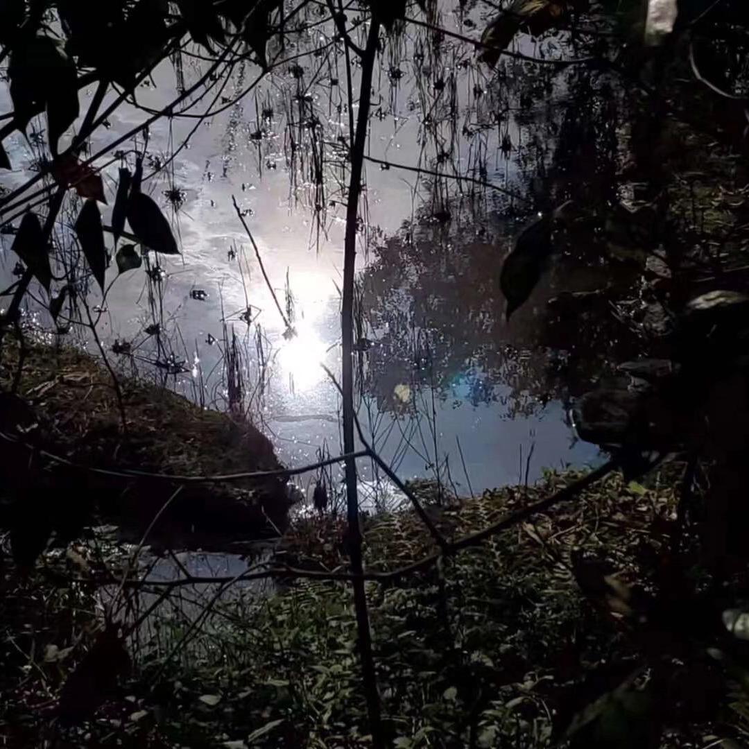 .梅