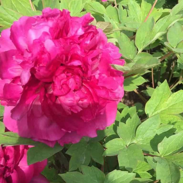 不在听你的谎言^O^