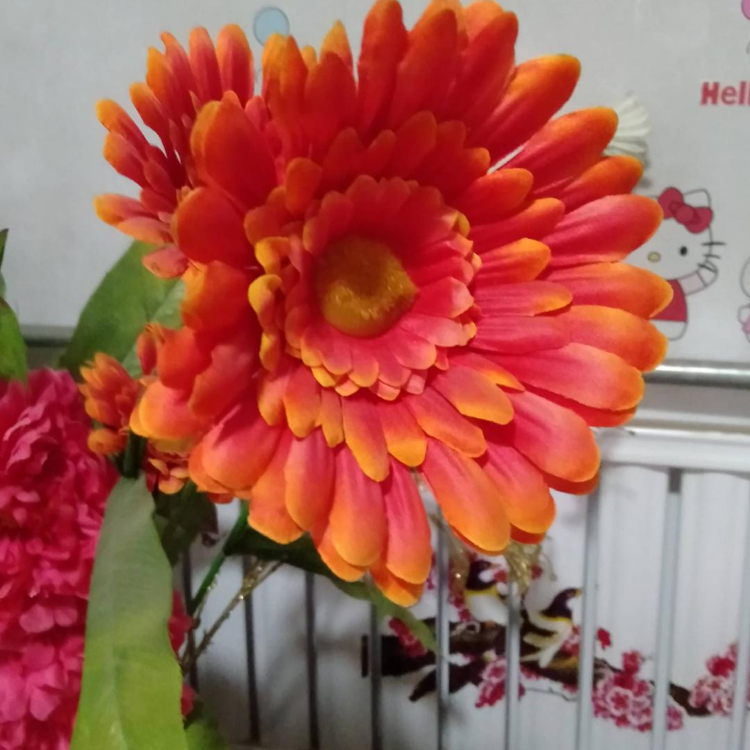 花秀王