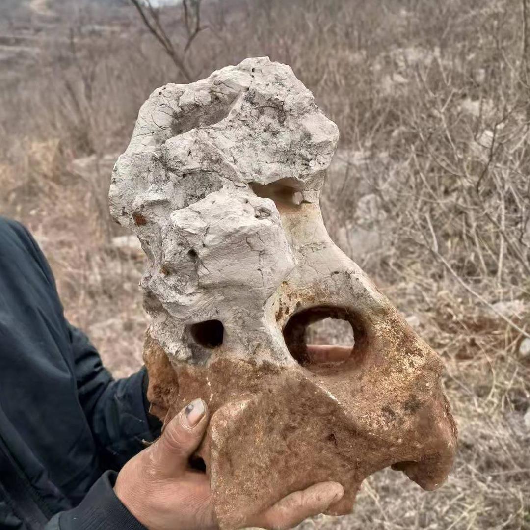 柏源阁