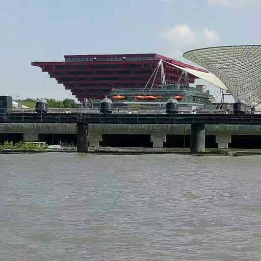 大海哥