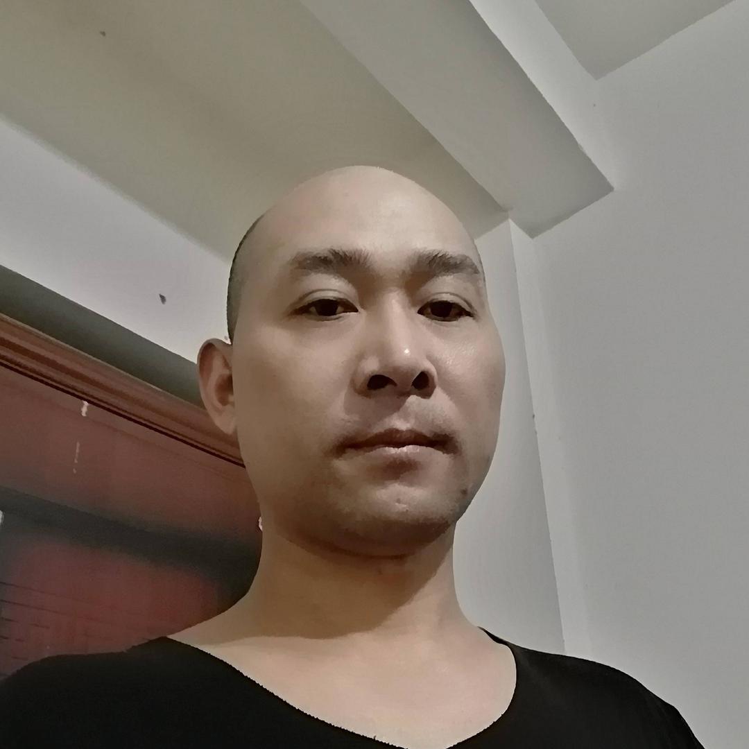 狗狗车夫