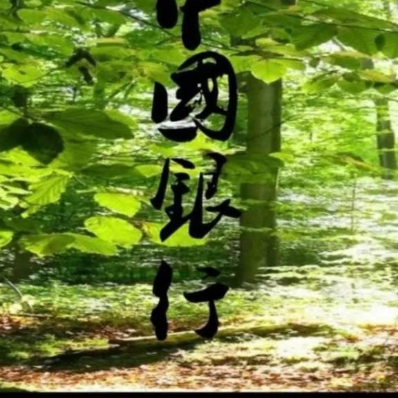 （辽）中国银行～111