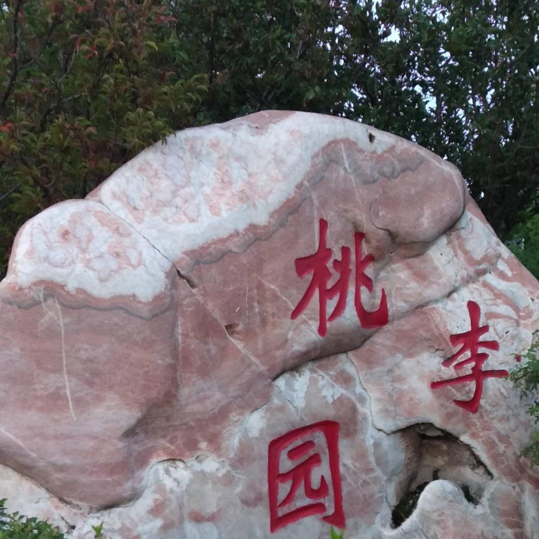 朋友