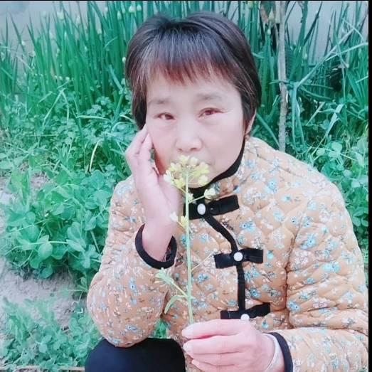 快乐老家家