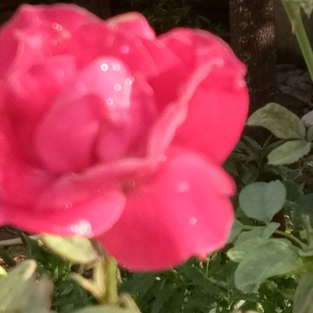 。。。