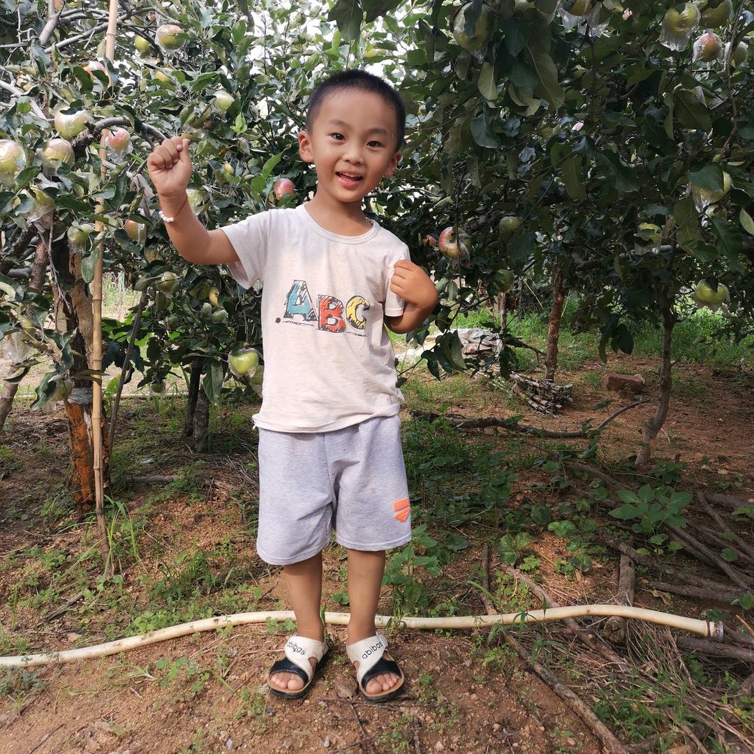 用户王疃水果超市