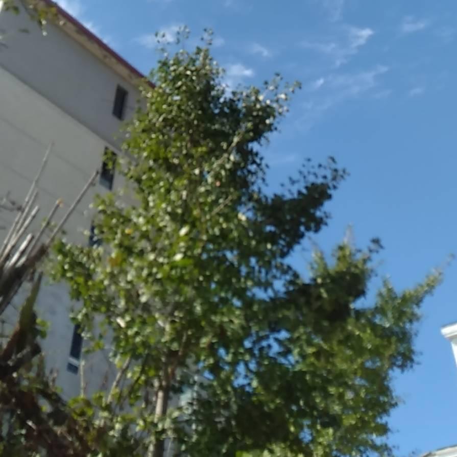 开心就好🎉🎉