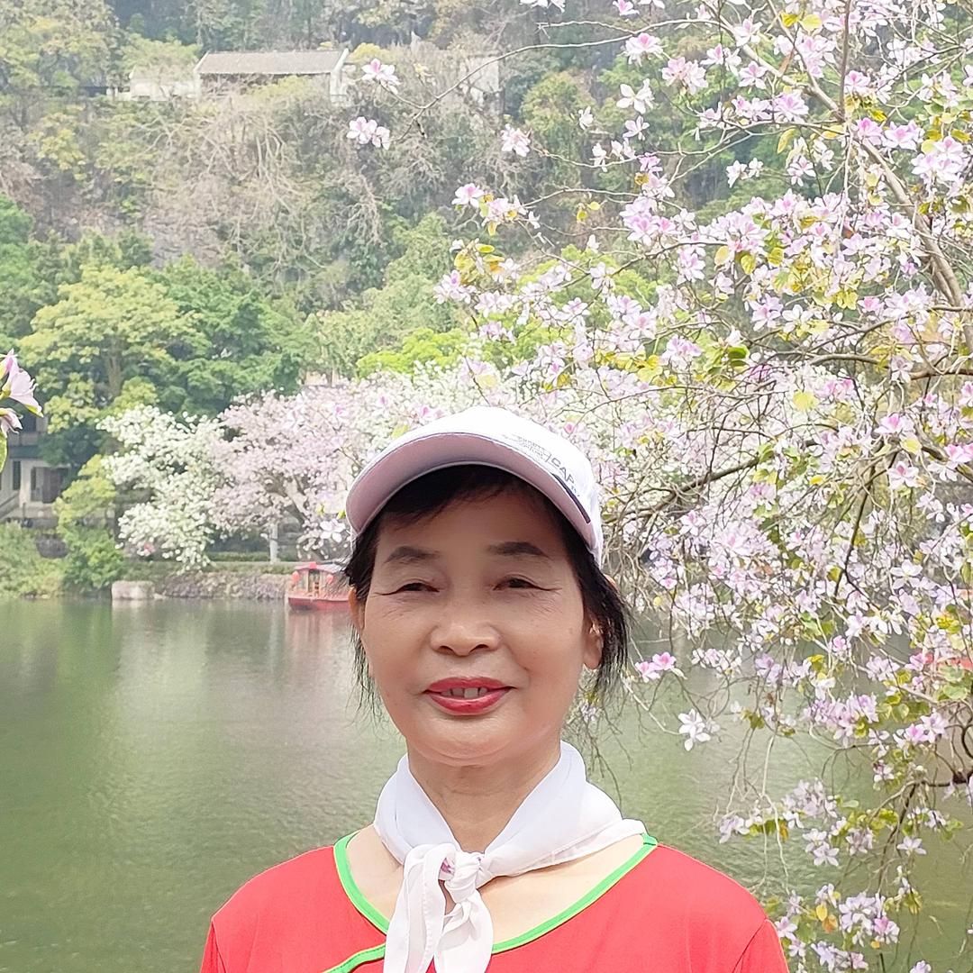 花叶