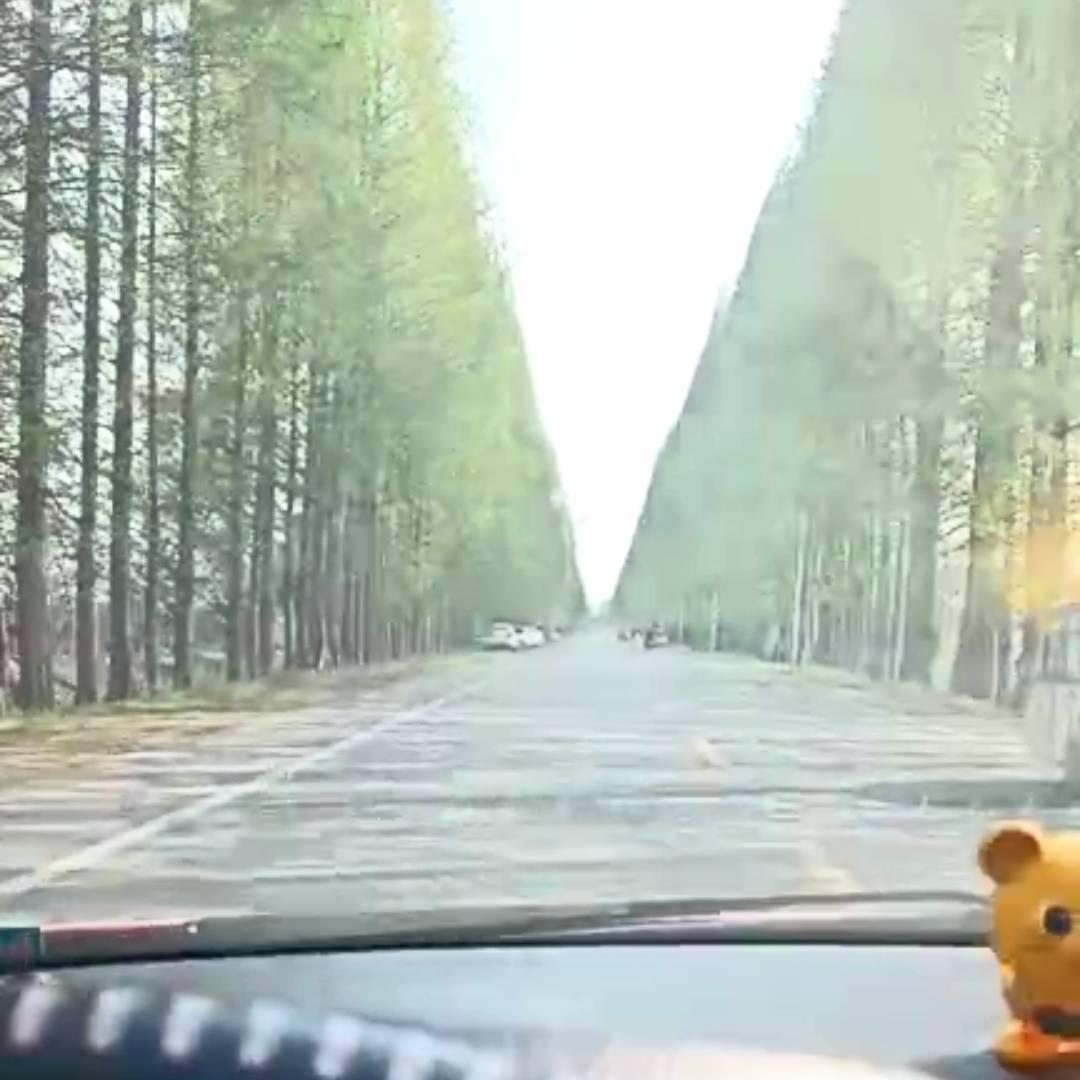 谢烟客