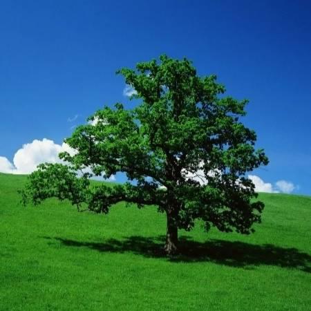 ❤️  一   哥  🇨🇳