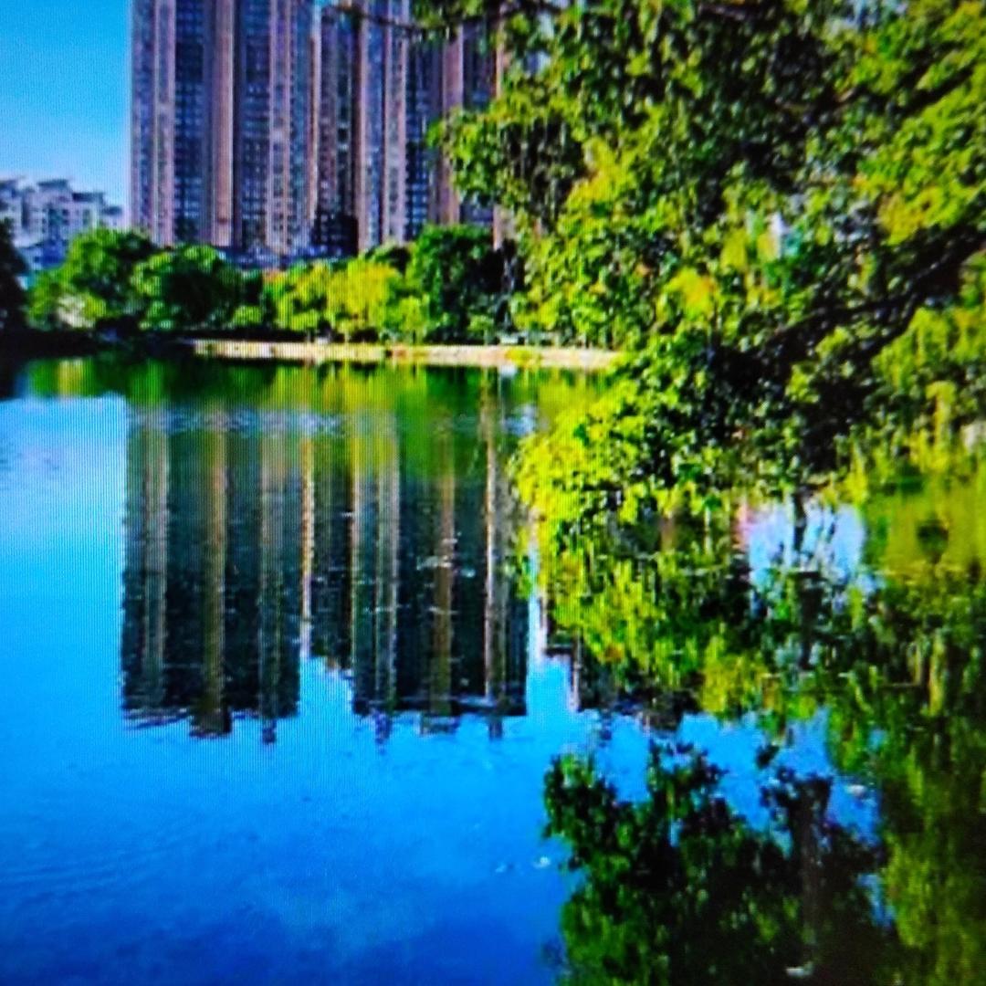 用户74574569（秋十）