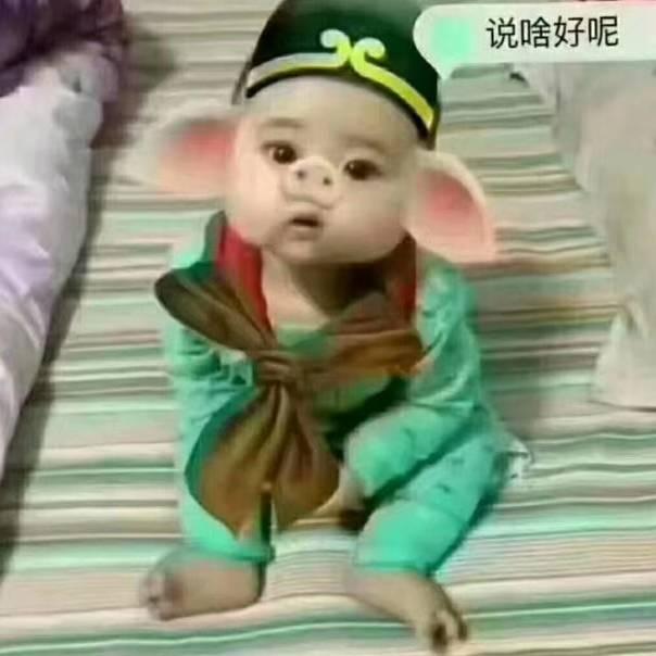 胖胖的快乐生活