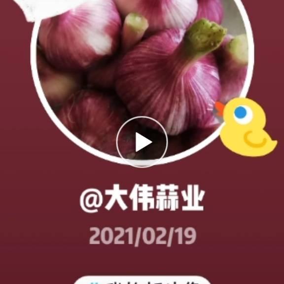 大伟蒜业