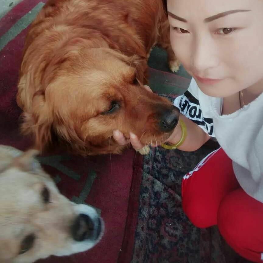 暖丫头张小欠
