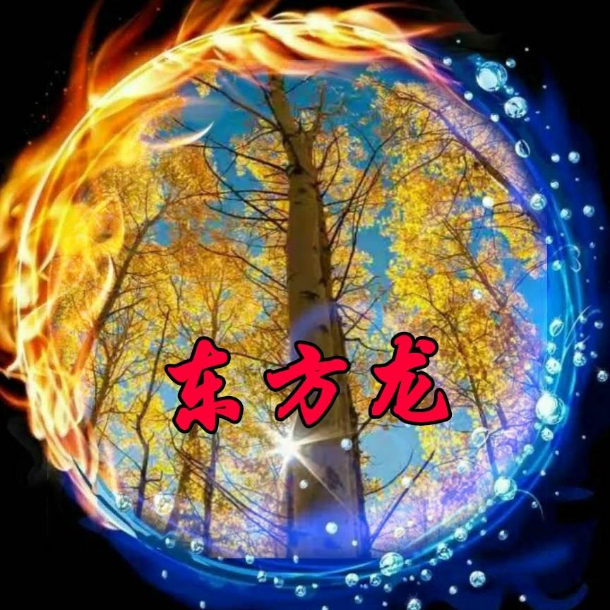 老大3621555