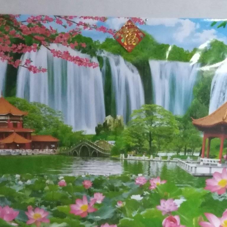 淑$丽