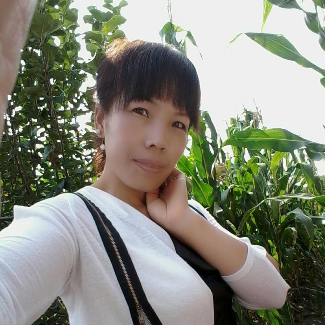夏天的芬芳591