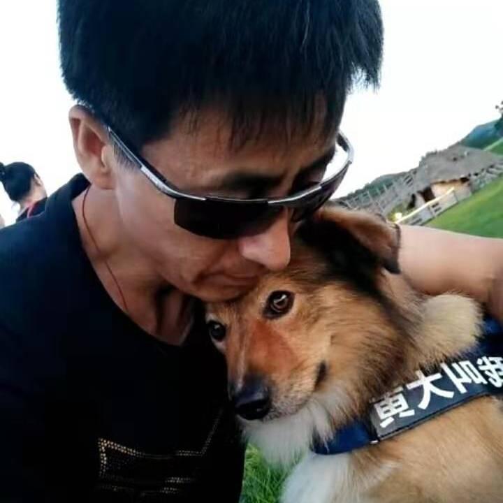 我与流浪狗的缘，大黄