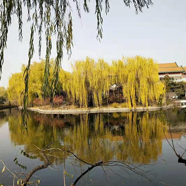 云淡风轻