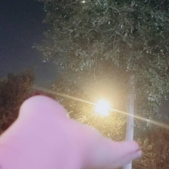 爱你的乖乖