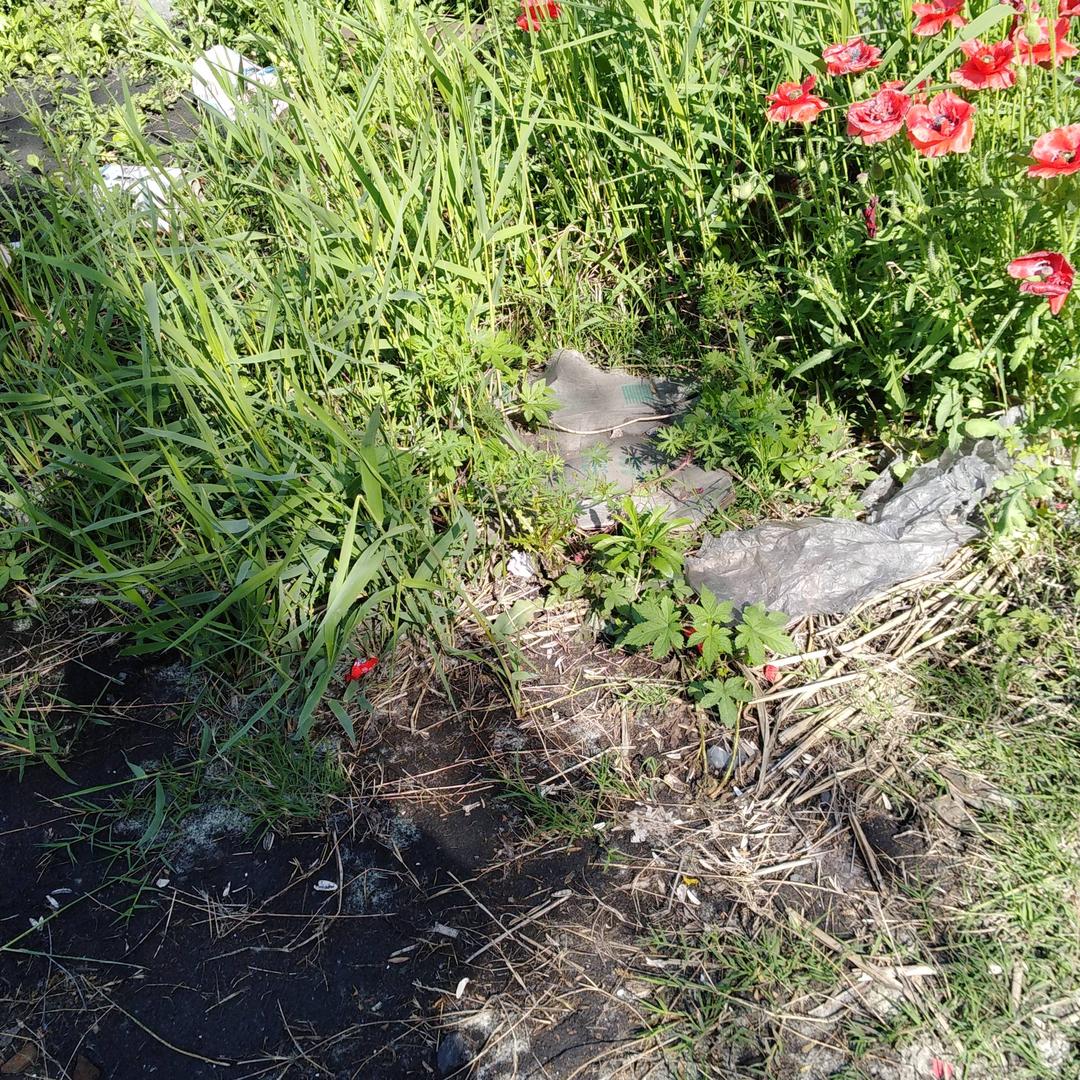 孤单的人，孤独的我