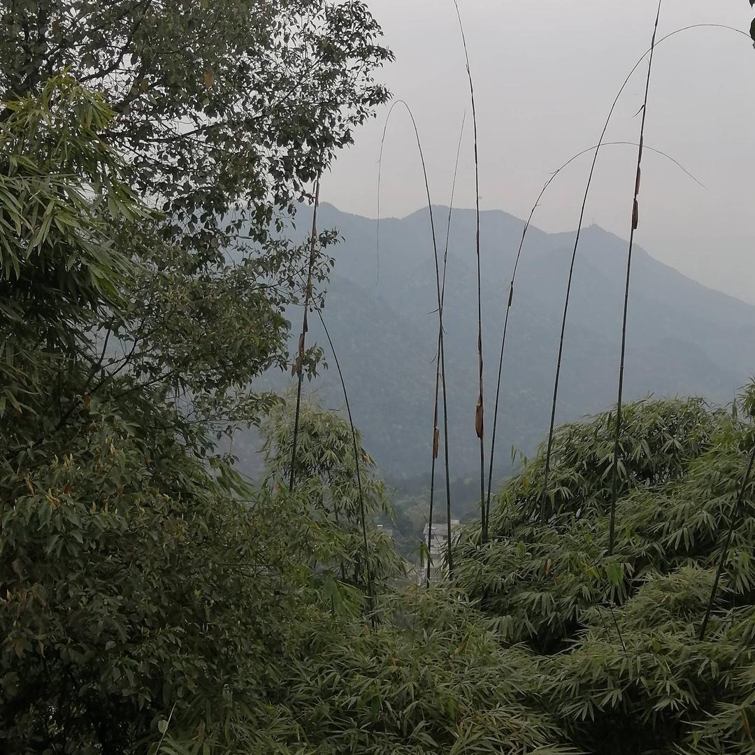 🦋এ᭄李入ꦿ朱訫💘ོ࿐ᩚ