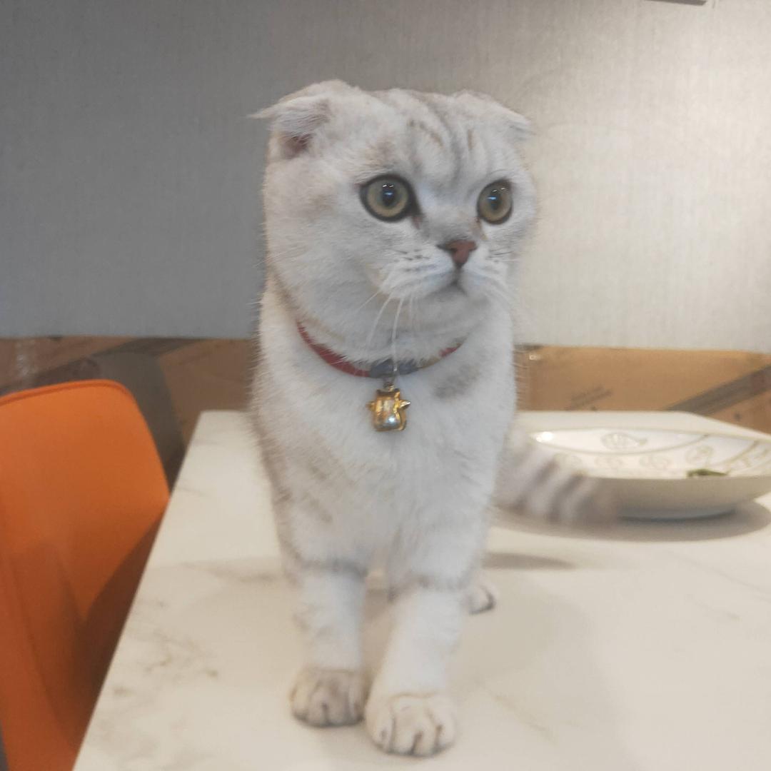 ꧁꫞💕꯭早早💕꯭꫞꧂（