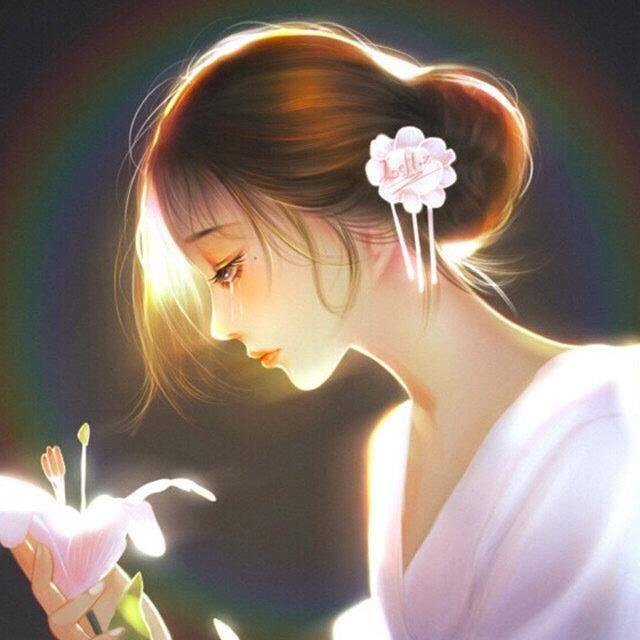 鱼宝宝