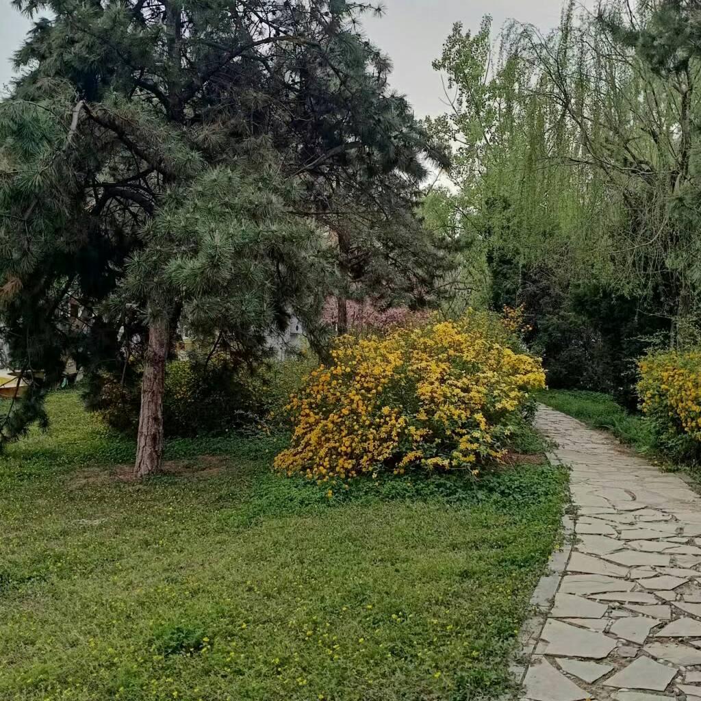 老来乐