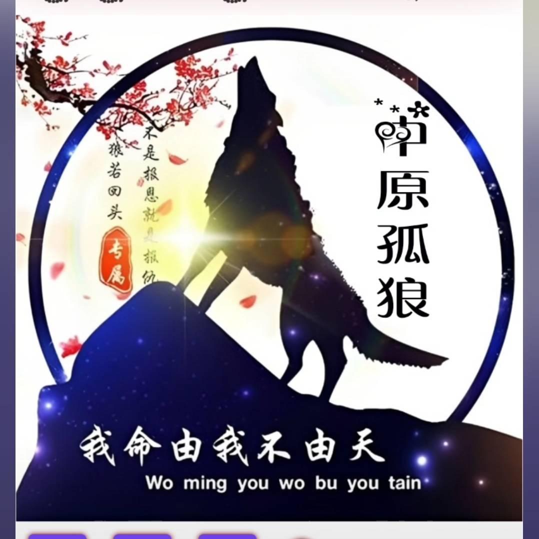 中原孤狼