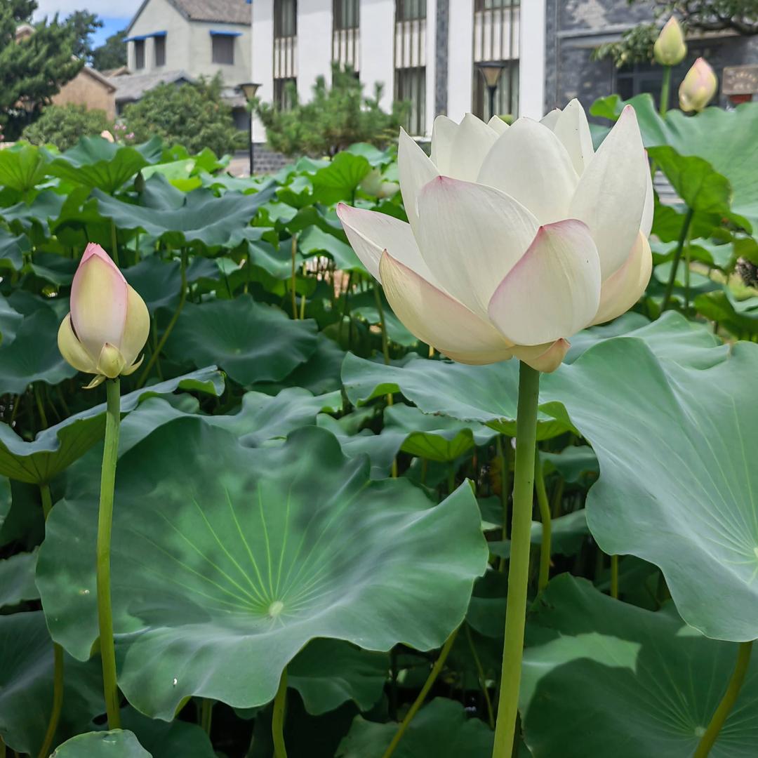 💕不变的心