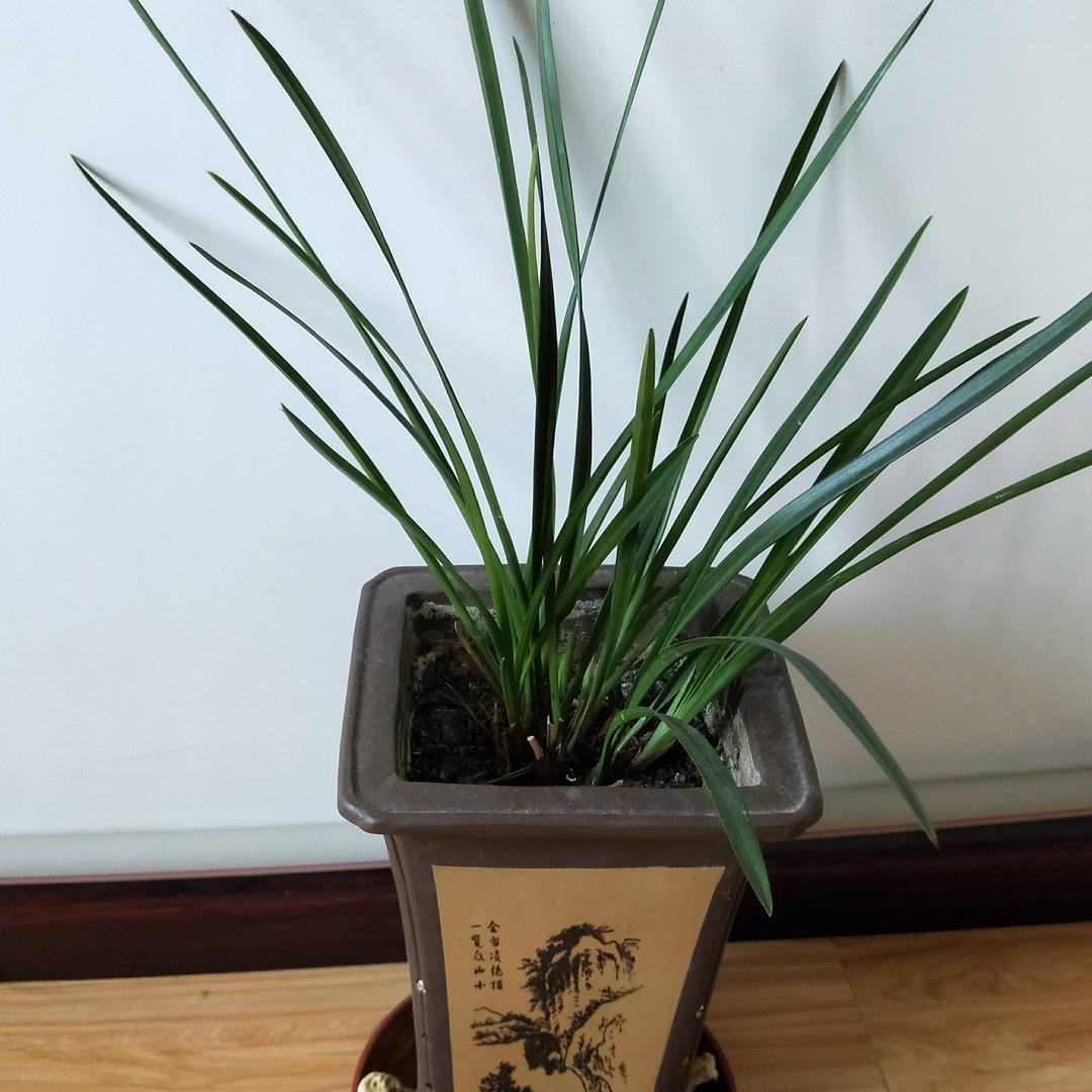 静心《伤感语录》