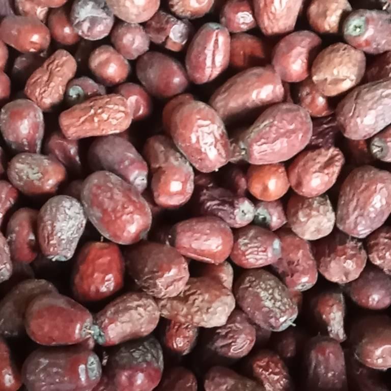 昆玉市刘博干果店