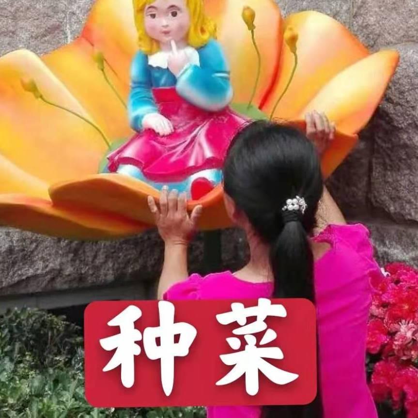 五音不全的桃子，种菜