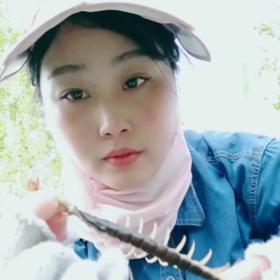 看玲玲户外找蜈蚣