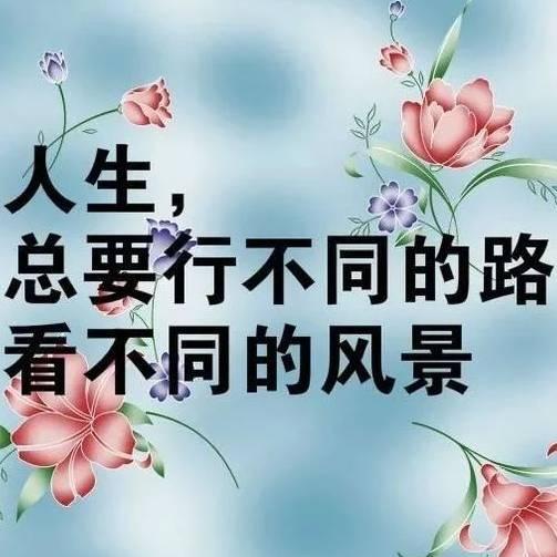 清风自来