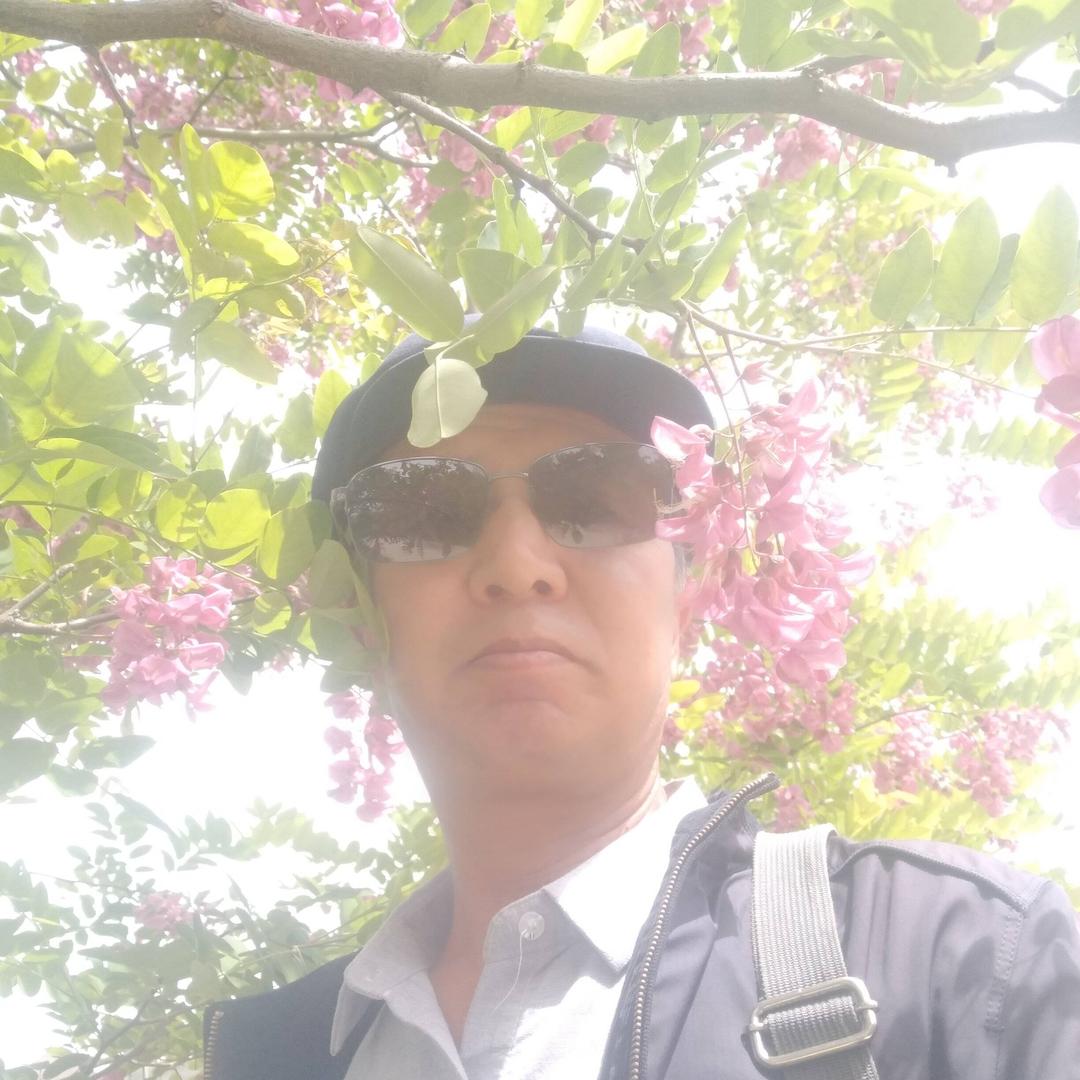 云华游人