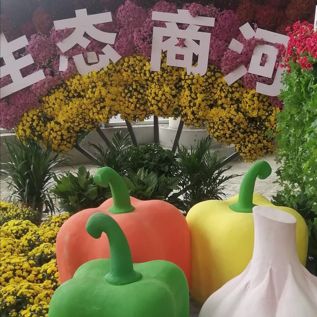 水是融化的冰