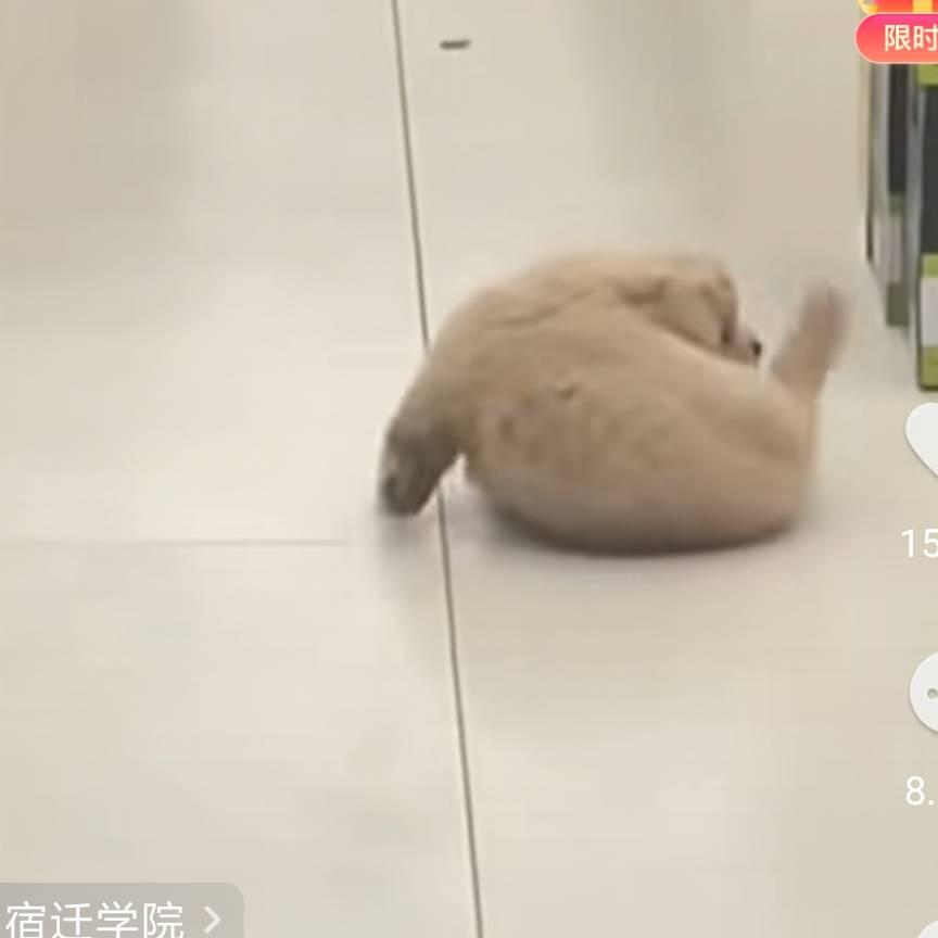 模式五险一金